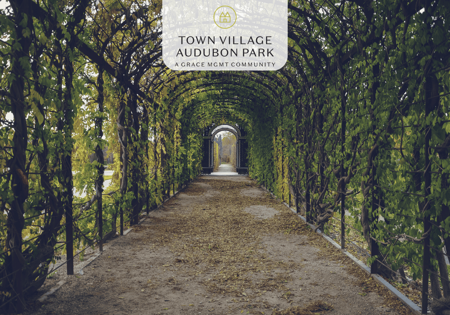 TVAP - Dixon Gardens - Town Village Audubon Park Garden